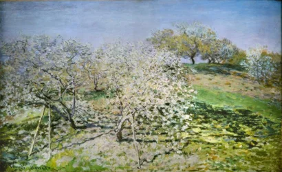 Frühling. Blühende Apfelbäume